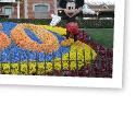 IMG9391