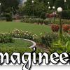 IMG9391